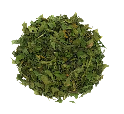 Orégano